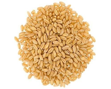PŠENICA KRMNA 30KG AGROLIT