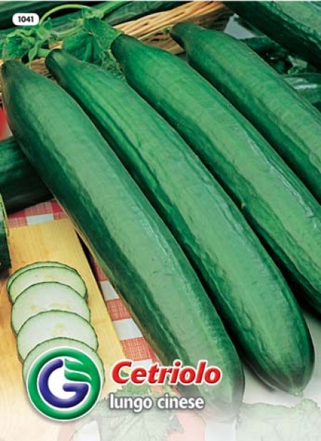SEME KUMARA CHINESE SLANGEN (1041)