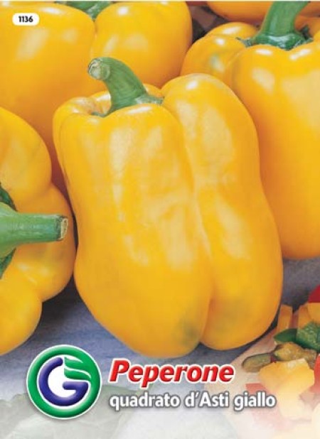 SEME PAPRIKA QUADRATO D ASTI GIALLO (1136)