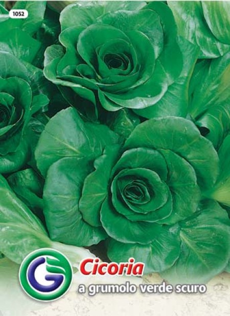 SEME RADIČ A GRUMOLO VERDE SCURO (1052)
