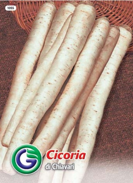 SEME RADIČ DI CHIAVARI (1055)