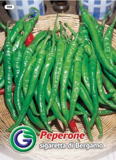 SEME PAPRIKA SIGARETTA DI BERGAMO (1139)