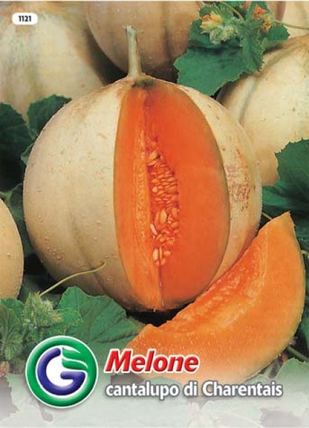 SEME MELONA CANTALUPO DI CHARENTAIS (1121)