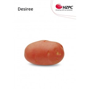 KROMPIR DESIREE "A" 28/35 25KG - AGROLIT
