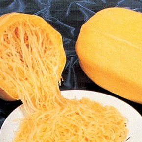 SEME BUČA ŠPAGETARICA 50G (2562)