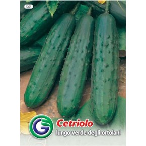 SEME KUMARA LUNGO VERDE DEGLI ORTOLANI (1201)