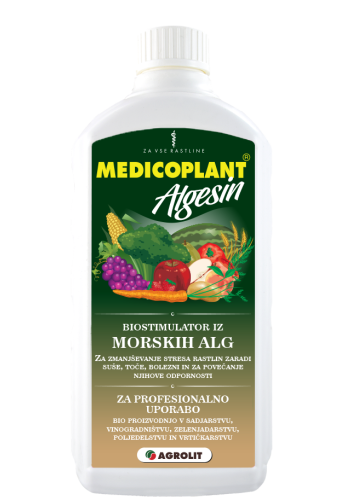 MEDICOPLANT   ALGESIN 1L