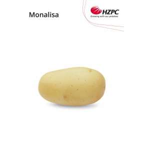 KROMPIR MONALISA "A" 35/50 10KG - AGROLIT