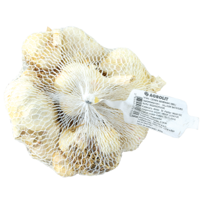 ČESEN SEMENSKI JESENSKI BELI  0,5KG - AGROLIT
