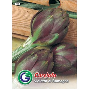 SEME ARTIČOKA VIOLET DE PROVENCE (1026)