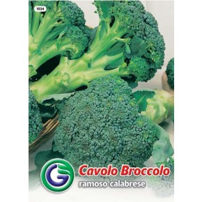 SEME BROKOLI RAMOSO CALABRESE (1024)