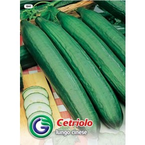 SEME KUMARA CHINESE SLANGEN (1041)