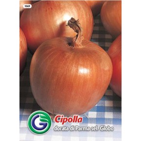 SEME ČEBULA DORATA DI PARMA SEL.GLOBO (1069)
