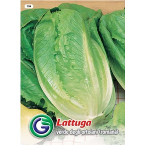 SEME SOLATA VERDE DEGLI ORTOLANI  (1114)