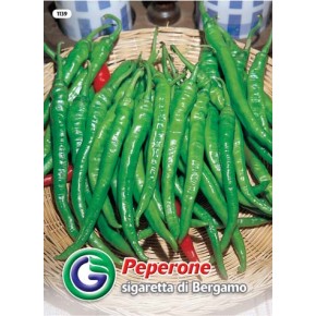 SEME PAPRIKA SIGARETTA DI BERGAMO (1139)