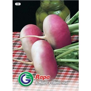 SEME REPA DI MILANO COLLETTO ROSA (1159)