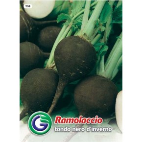 SEME REDKEV ČRNA NERO D INVERNO (1158)