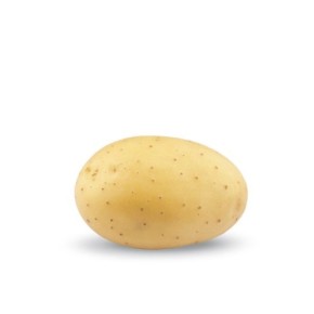 KROMPIR  SUNITA "A" 35/50 10KG - AGROLIT